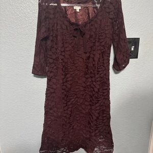 Garnet Hill Lacey Knee-Length Dress with 3/4 Sleeves
